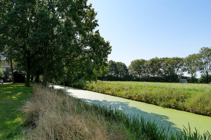 Bekijk foto 19 van Vrijheid 11