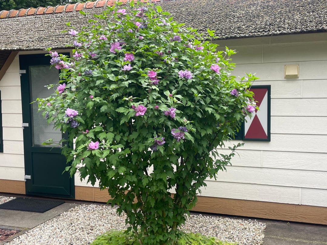 Foto 13 van Tonnenberg 53-K18