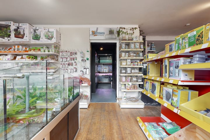 Foto 33 van Brugstraat 19