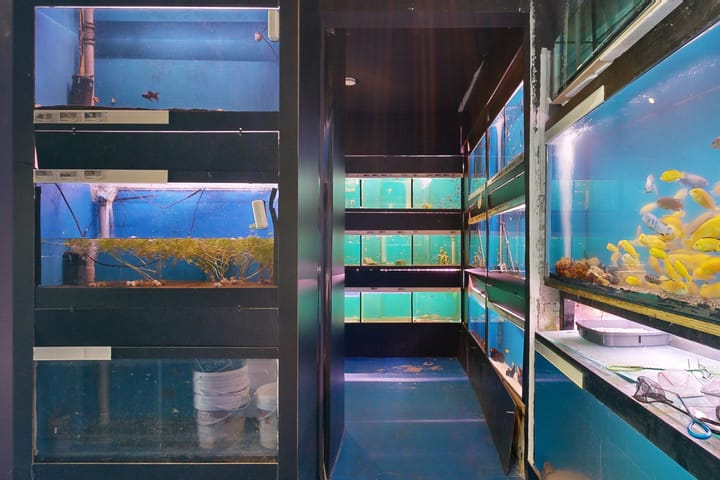 Foto 37 van Brugstraat 19