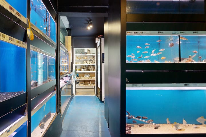 Foto 38 van Brugstraat 19