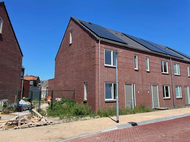 Foto 1 van Tabaksplant 8