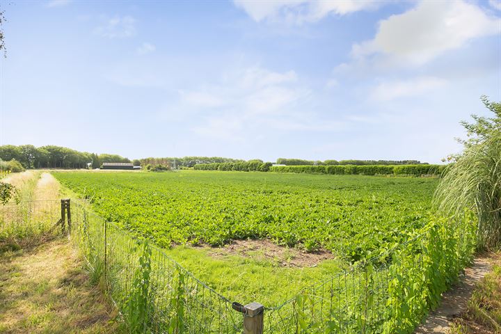 Bekijk foto 2 van Groenedijk 6