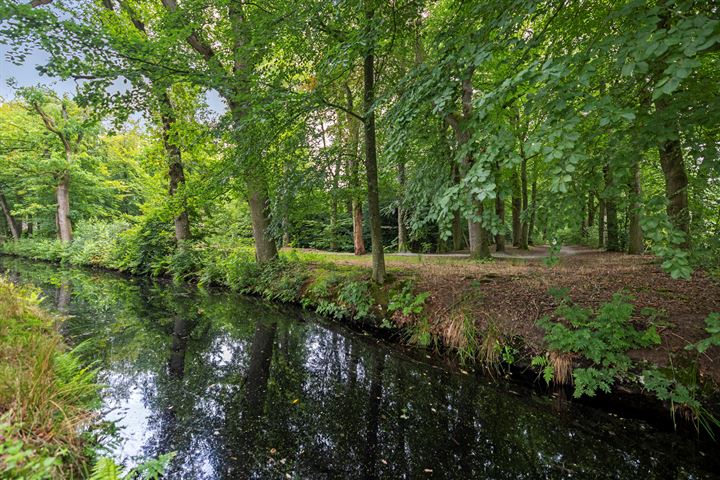 Bekijk foto 46 van Heemstrasingel 50