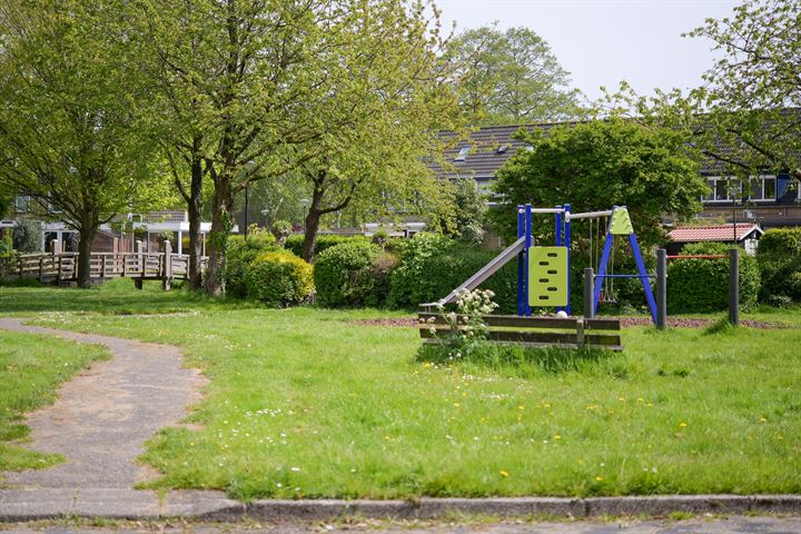 Bekijk foto 51 van Blauwe Zegge 43