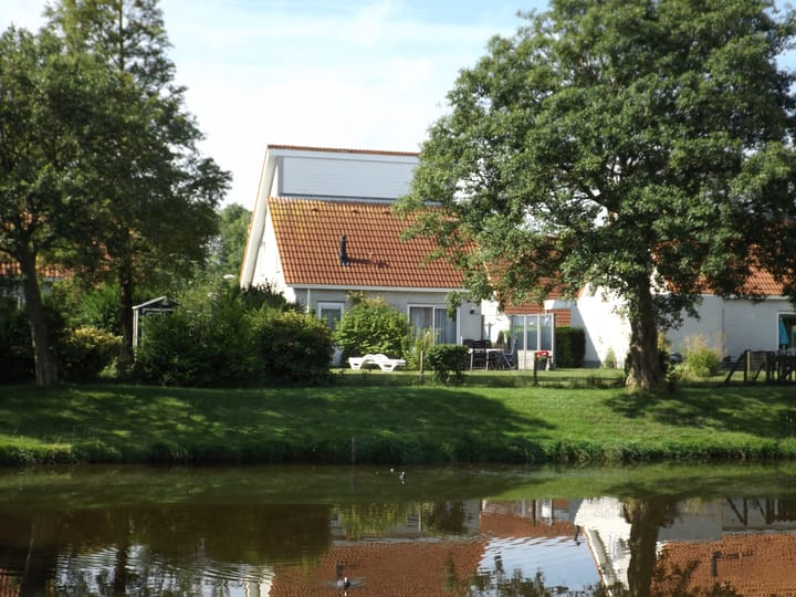 Photo 2 of Strand 84