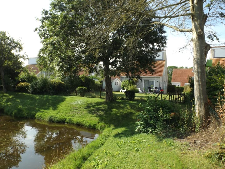 Photo 3 of Strand 84