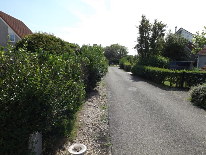 Photo 5 of Strand 84