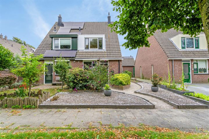 Bekijk foto 1 van Hobbemastraat 42