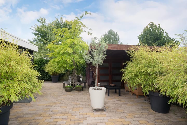 Foto 7 van Wessel Couzijnhof 25