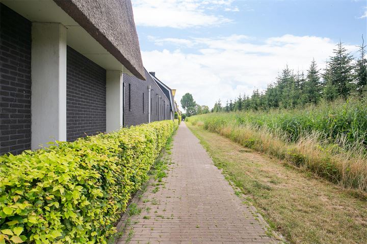 Bekijk foto 43 van Wessel Couzijnhof 25