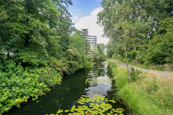 Bekijk foto 46 van Wessel Couzijnhof 25