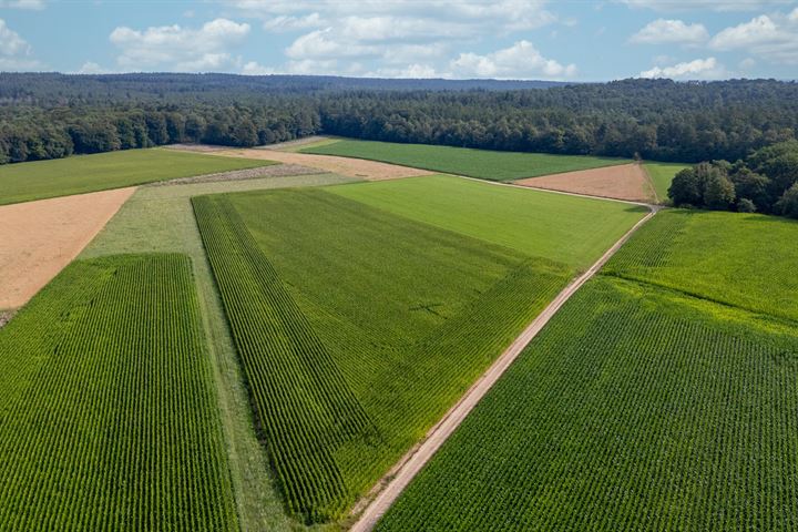 Bekijk foto 71 van Kastanjelaan 25