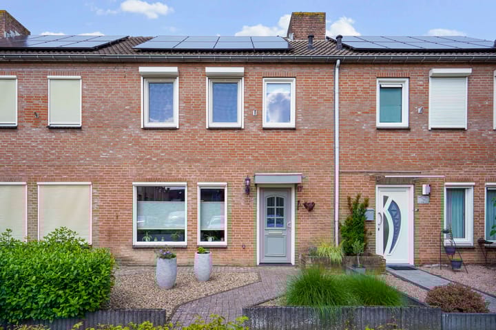 undefined main image