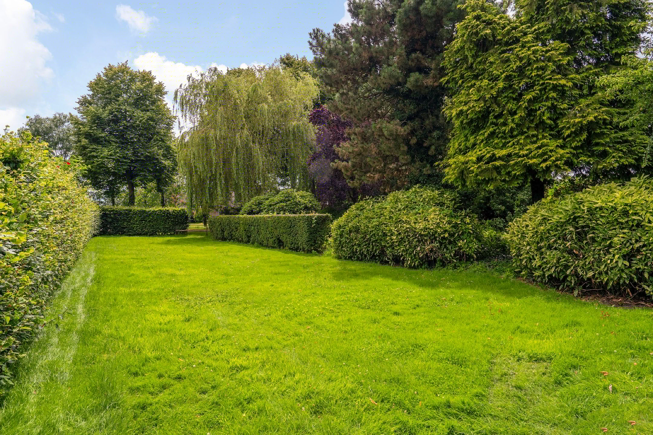 Foto 48 van Loonsestraat 3-A