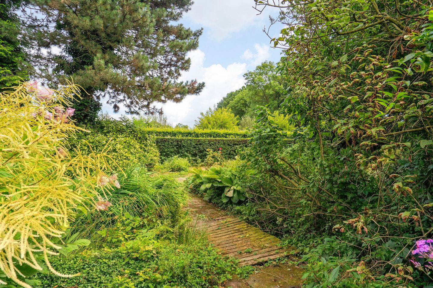 Foto 49 van Loonsestraat 3-A