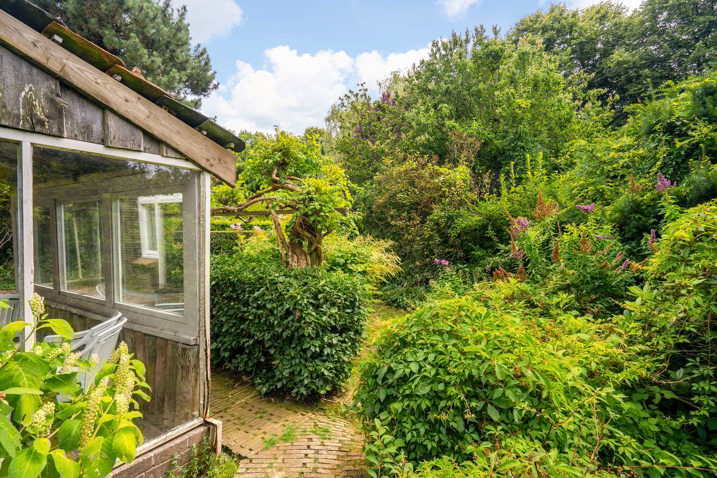 Foto 50 van Loonsestraat 3-A