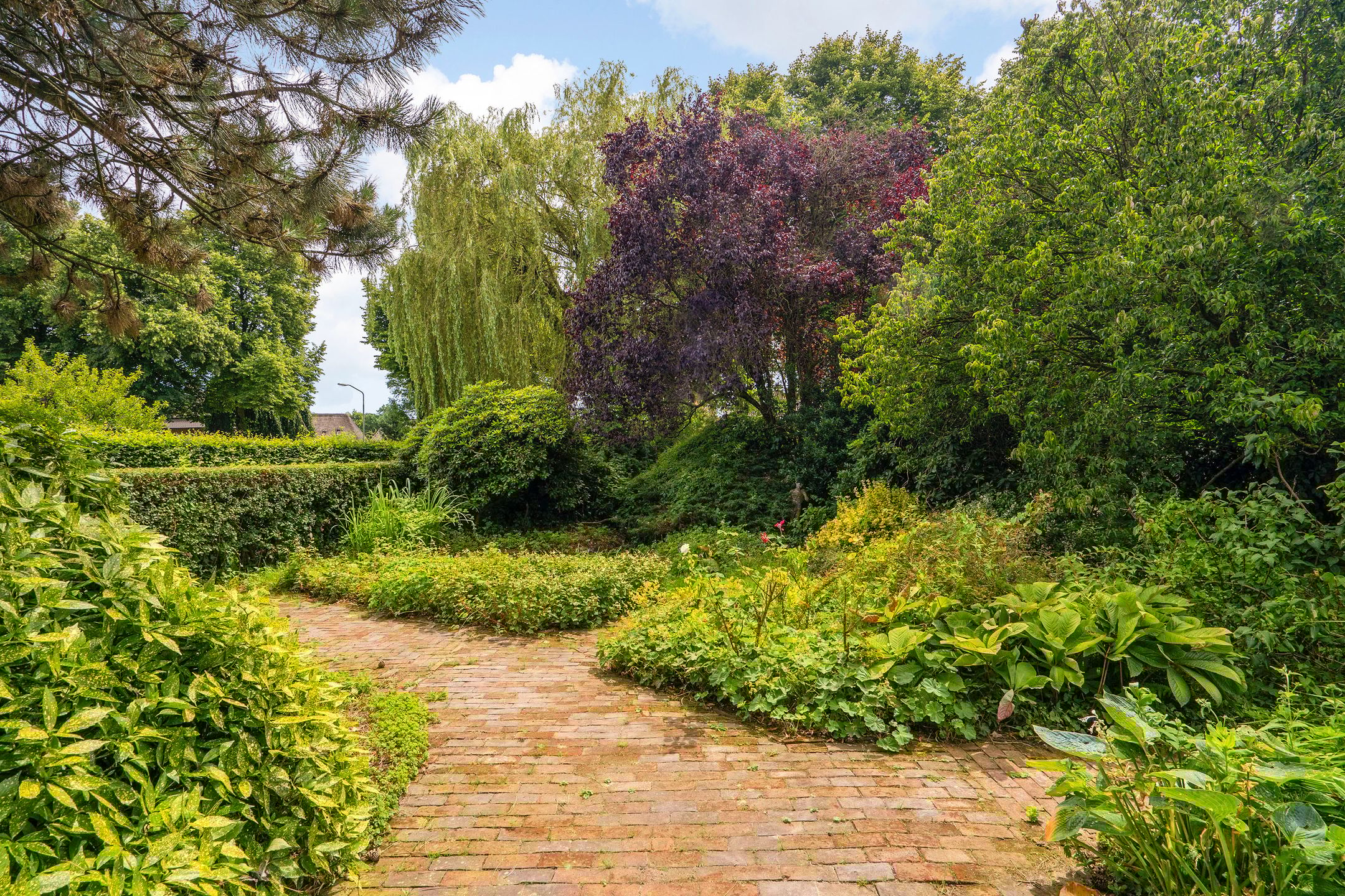 Foto 51 van Loonsestraat 3-A