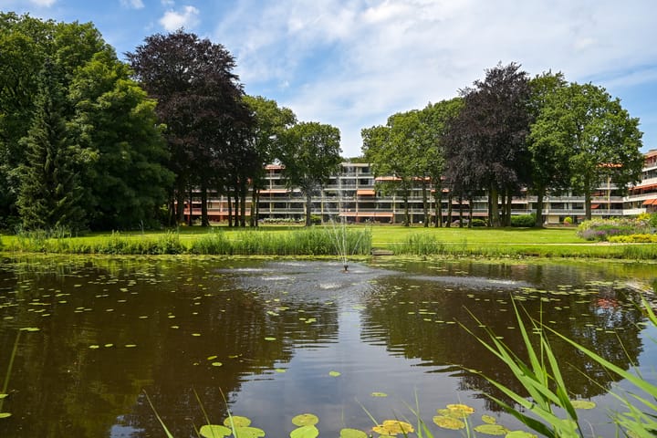 Foto 4 van Stoeplaan 11-F41