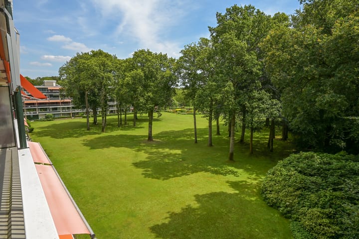 Foto 13 van Stoeplaan 11-F41