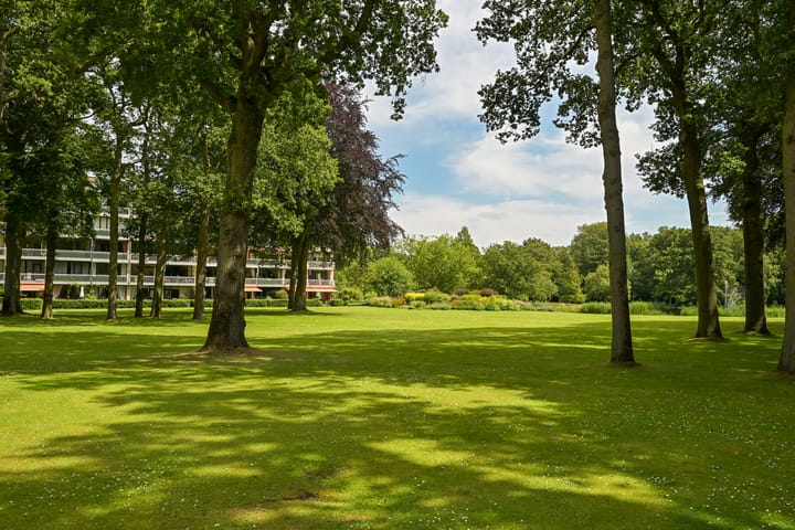 Foto 24 van Stoeplaan 11-F41