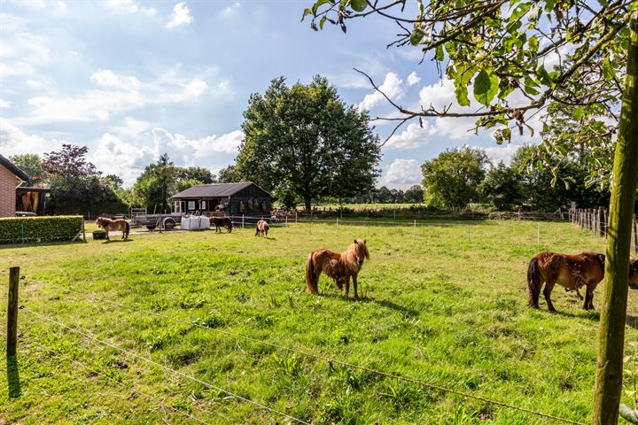 Bekijk foto 33 van Bovenweg 46-D