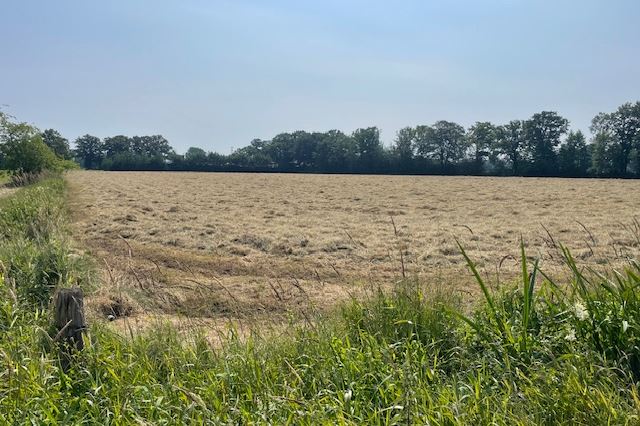 Bekijk foto 3 van Riebroekersteeg