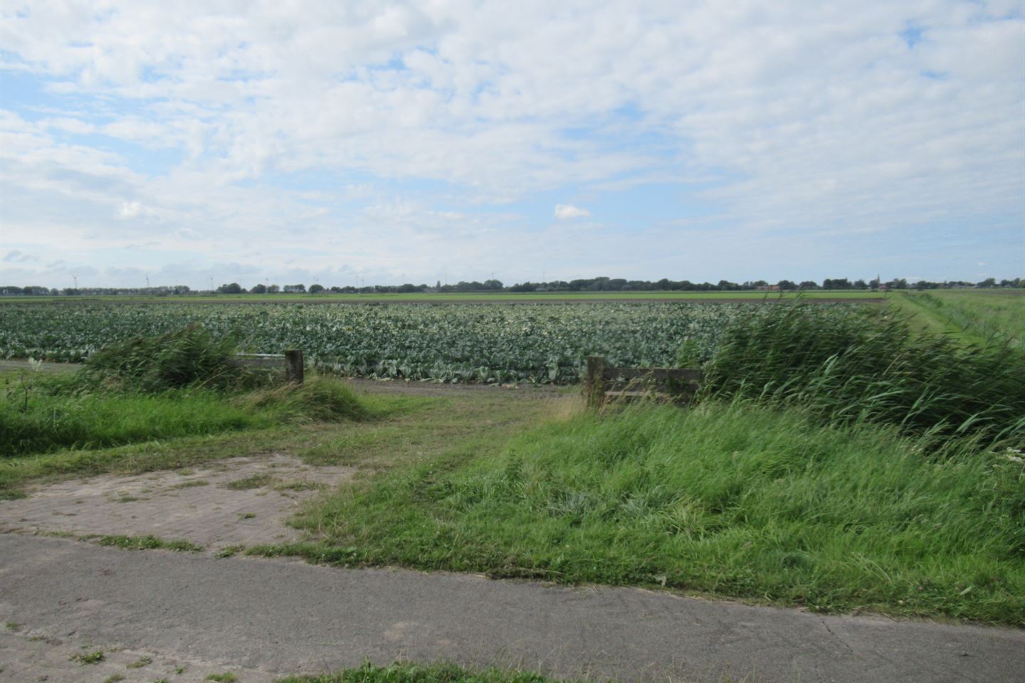 Bekijk foto 3 van Nabij Broerdijk 41