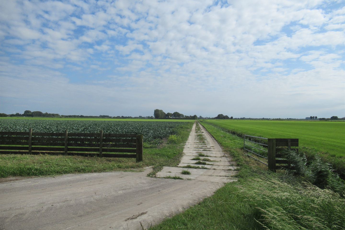 Bekijk foto 5 van Nabij Broerdijk 41