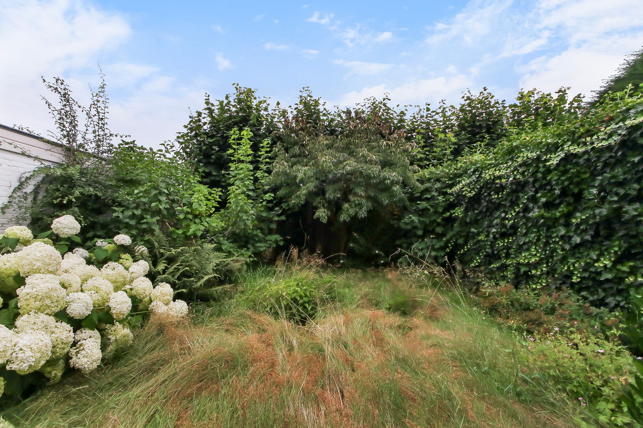 Foto 30 van Melkwegsingel 3