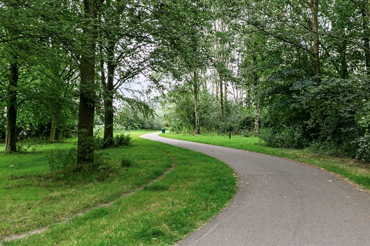 Bekijk foto 38 van Achterweg ZZ 8