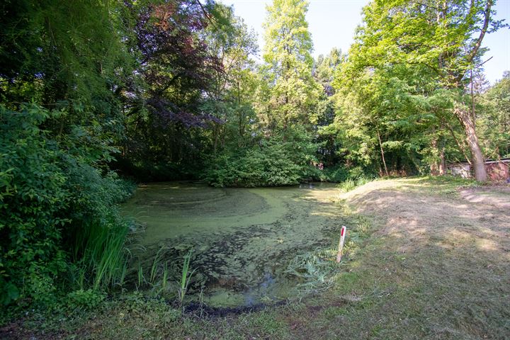 Bekijk foto 8 van Reimersdennenweg 17