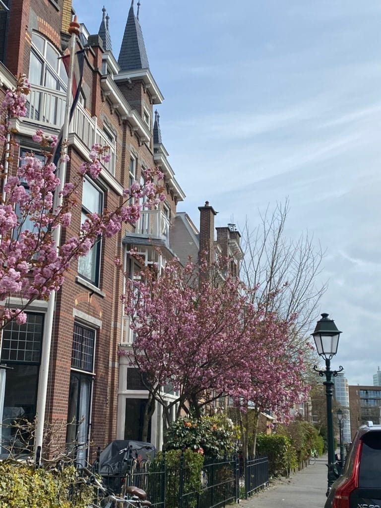 Photo 2 of Adriaan Pauwstraat 24-A