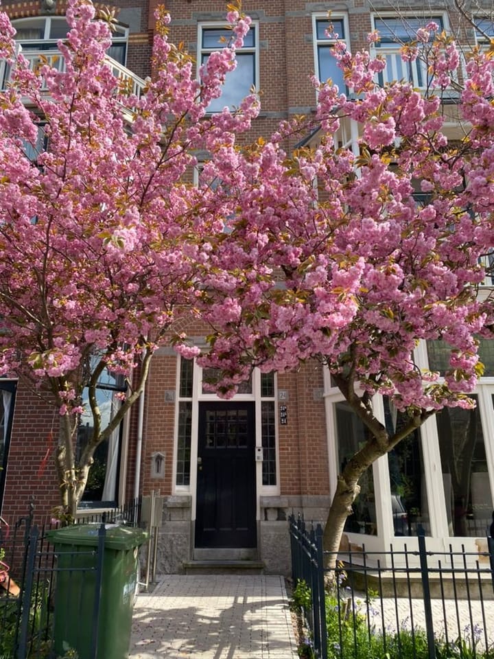 Foto 4 van Adriaan Pauwstraat 24-A