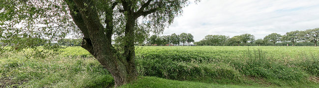 Bekijk 360° foto van Tuin van Weenkweg 4