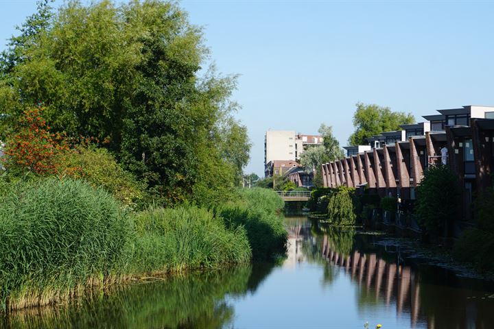 Bekijk foto 56 van Lotusstraat 24