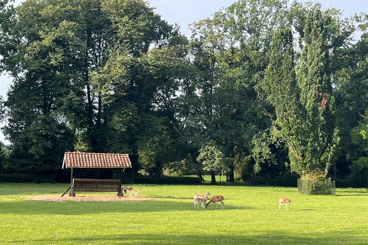 Bekijk foto 101 van Parklaan 4