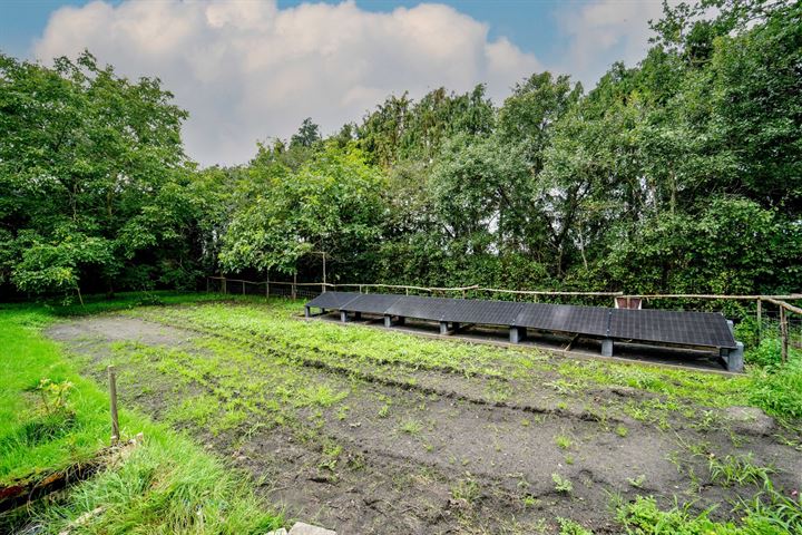 Bekijk foto 47 van Musselweg 156