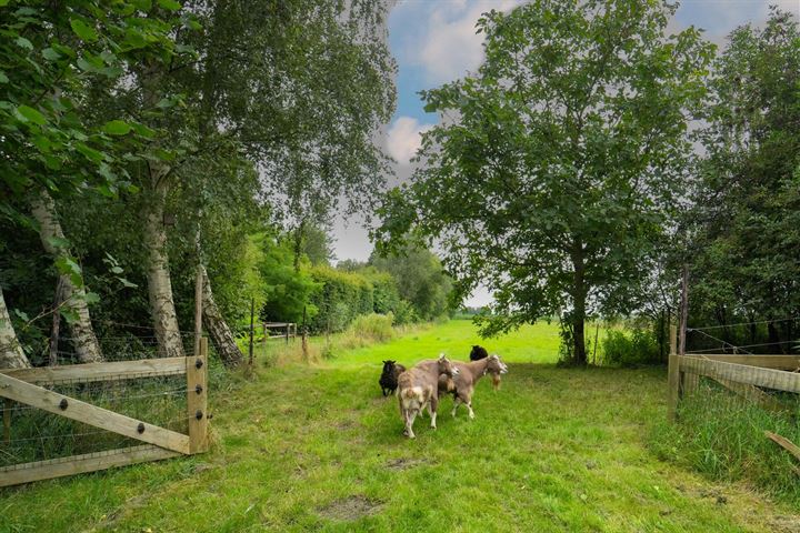 Bekijk foto 49 van Musselweg 156