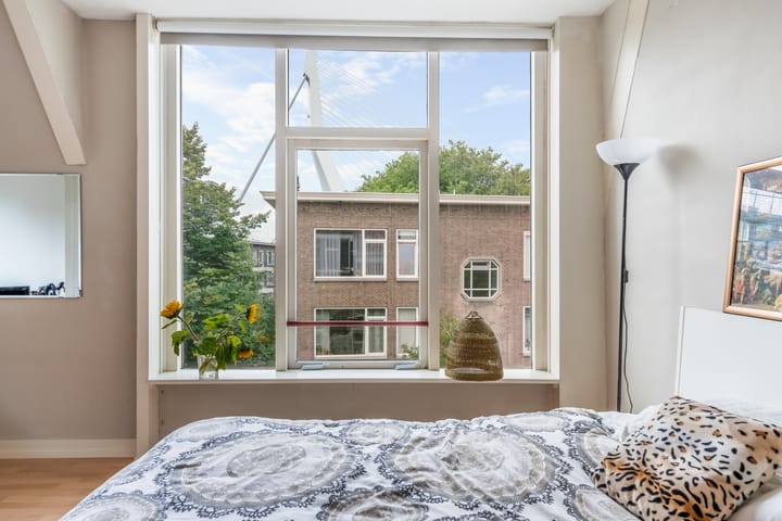 Foto 41 van Prins Hendriklaan 46-A