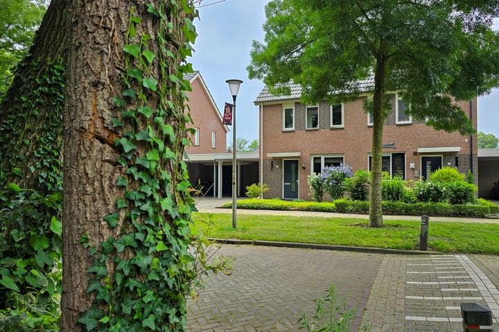 View photo 2 of Molemansstraat 11