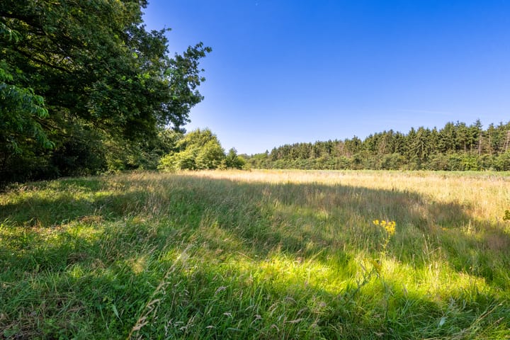 Foto 5 van Havertergrensweg 3