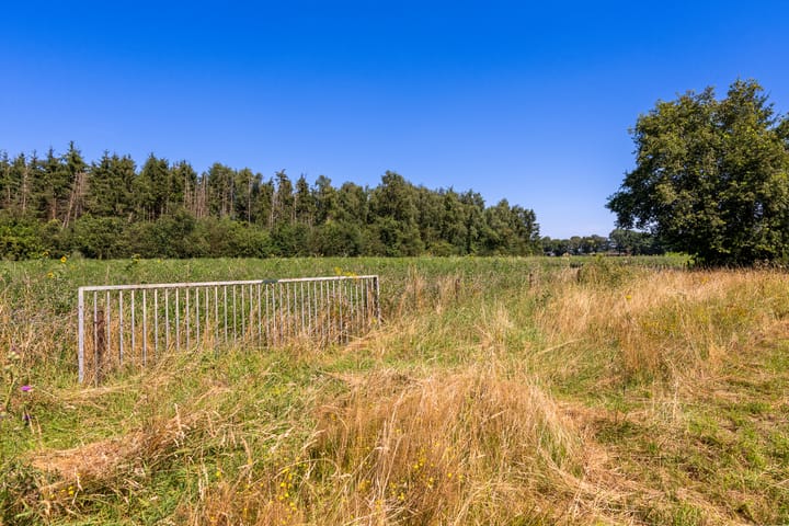 Foto 6 van Havertergrensweg 3