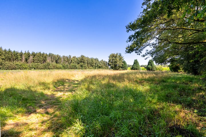 Foto 7 van Havertergrensweg 3