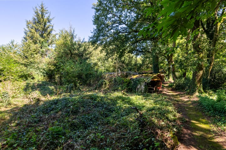 Foto 12 van Havertergrensweg 3