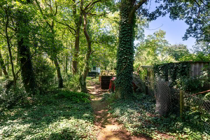 Foto 13 van Havertergrensweg 3