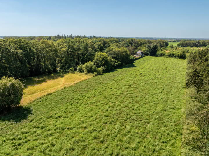 Foto 16 van Havertergrensweg 3