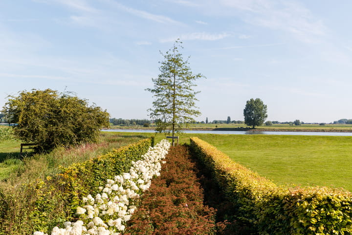 Photo 34 of Achthoven 31