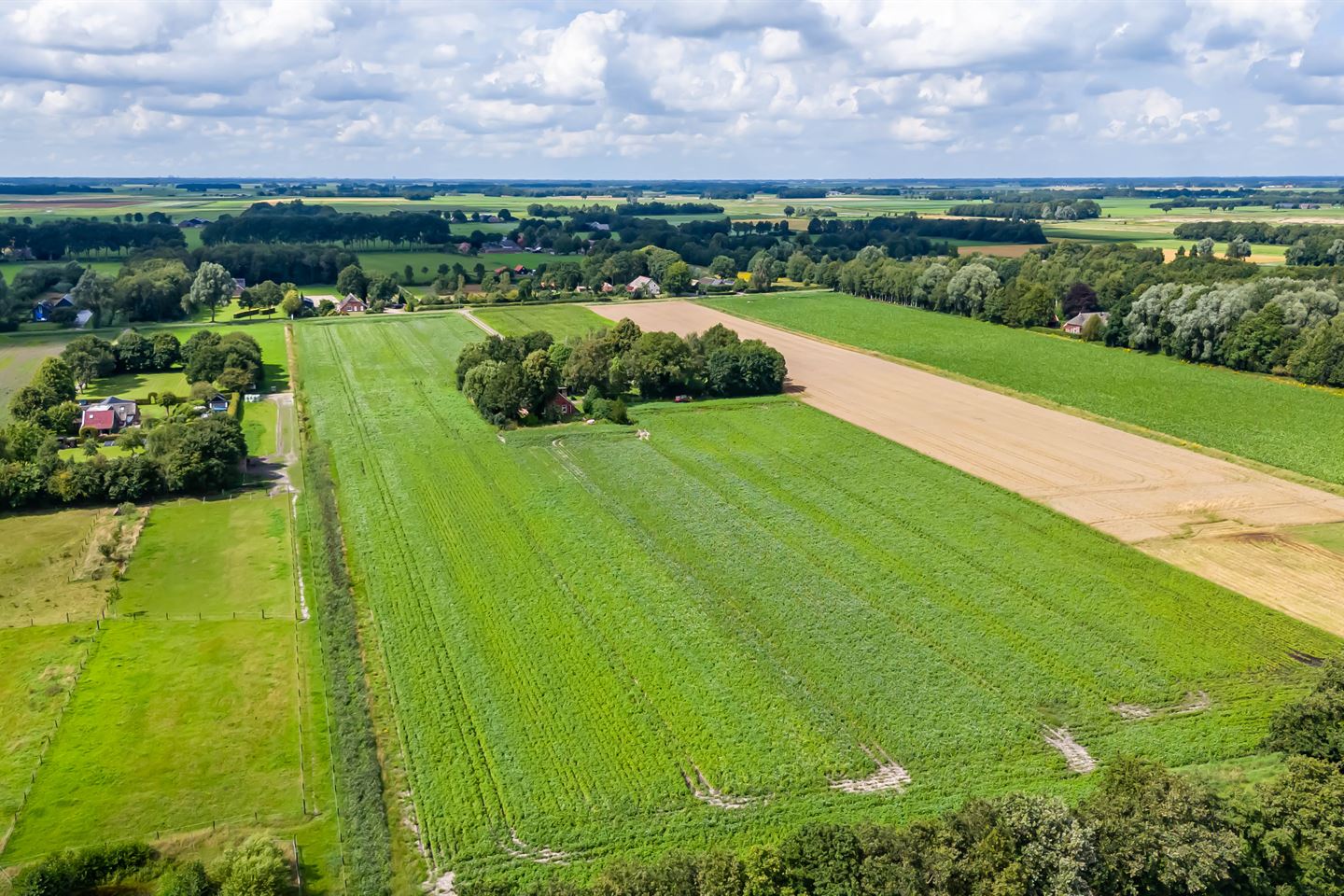 Bekijk foto 5 van Nieuwedijk 3