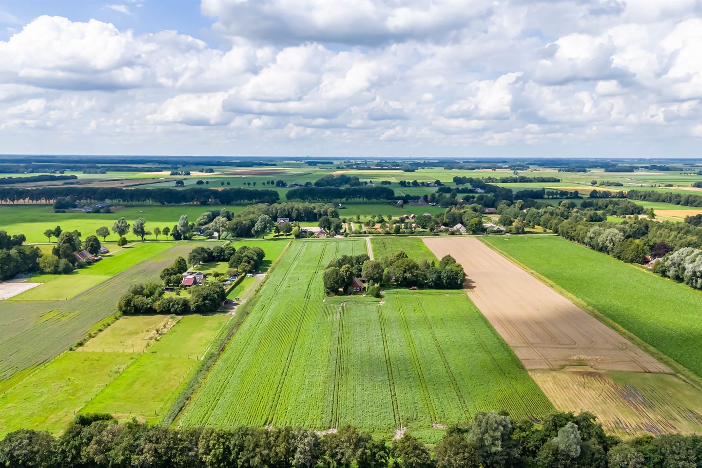 Bekijk foto 4 van Nieuwedijk 3